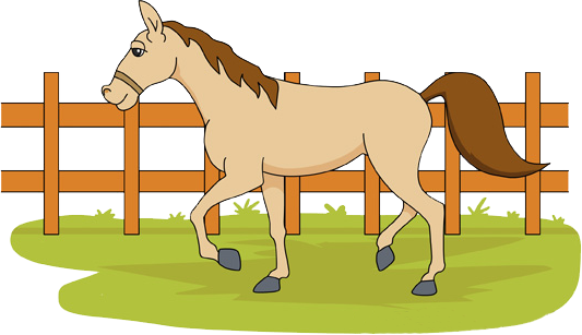 banner-horseFarm